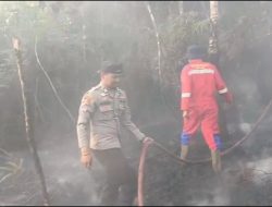 Polsek Kota Agung Bersama Damkar Padamkan Kebakaran Lahan Setengah Hektare di Talang Jawa