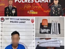 Satresnarkoba Polres Lahat Amankan Pria dan 22 Paket Diduga Ganja di Kikim Selatan