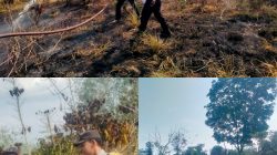 Diduga Puntung Rokok, Kebun Kopi Seluas 600 Meter Persegi Terbakar di Tanjung Menang
