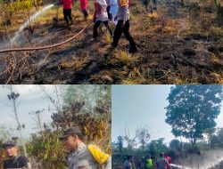 Diduga Puntung Rokok, Kebun Kopi Seluas 600 Meter Persegi Terbakar di Tanjung Menang
