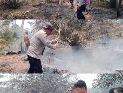 Polsek Kikim Timur Bersama Damkar dan Warga Tangani Kebakaran Lahan di Bunga Mas