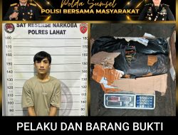 Satresnarkoba Polres Lahat Sita 4,65 Kg Ganja di Pulau Pinang, Seorang Pria Diamankan
